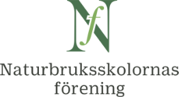 nf-logo-2